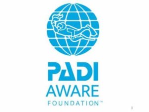 padi aware foundation