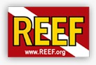reef org